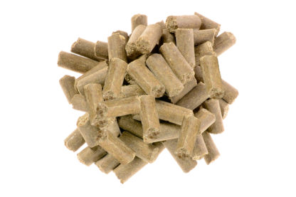 Salbei